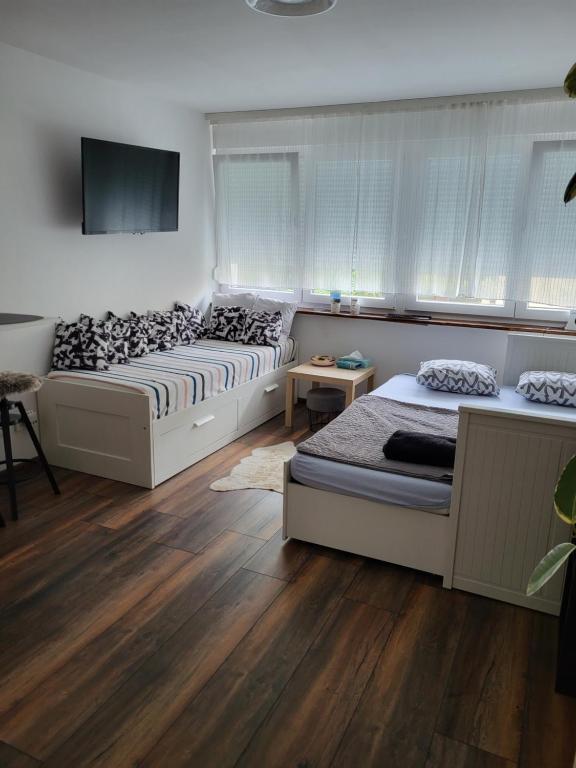 Studio apartman Tara photo 2