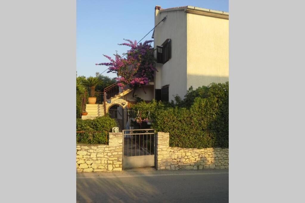 ROOMS LUCE 1 & SUPETAR — photo 1