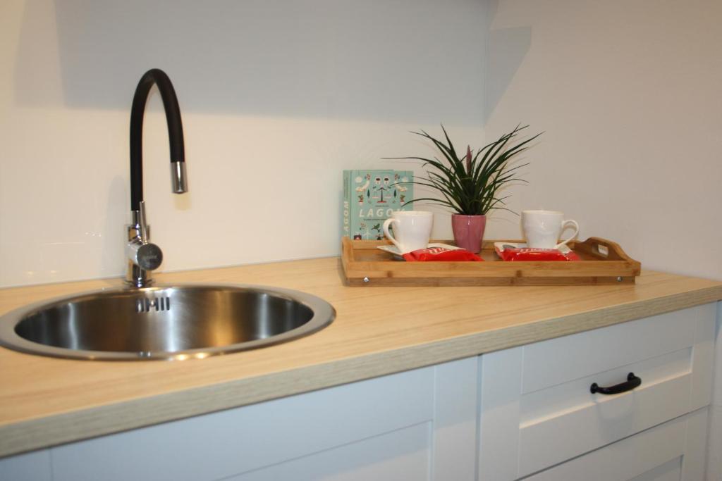 Studio apartman Centar photo 3