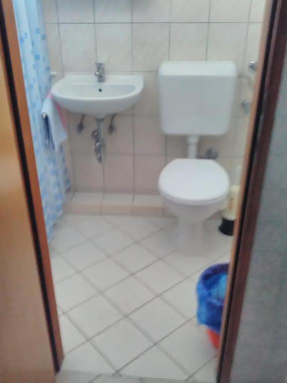 Studio Palit 3195f photo 3