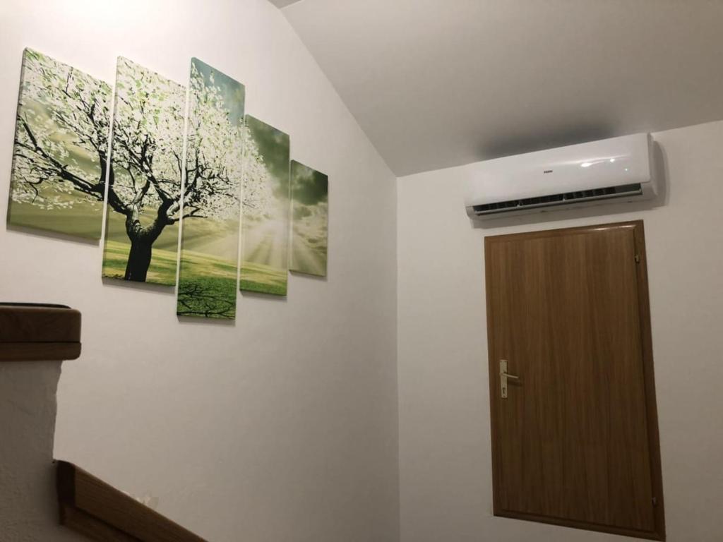 Apartment Satori photo 3
