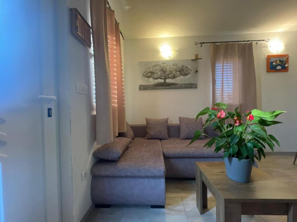 Apartman Donadina-Dalmatian heritage house photo 2