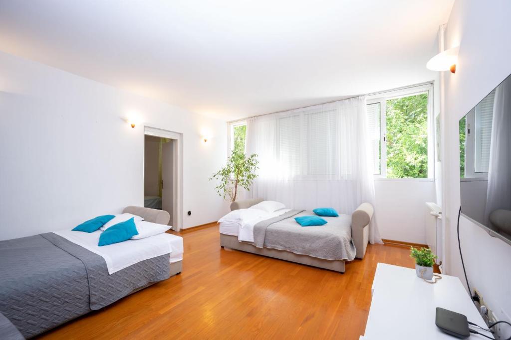 Summer Dream Apartment photo 2