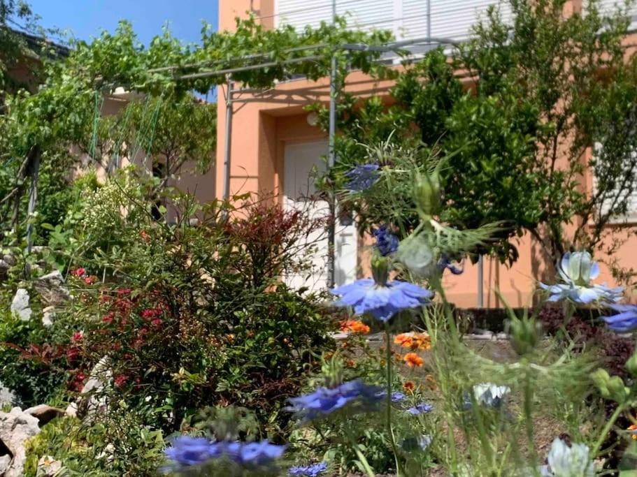 Apartman Tena sa vrtom i pogledom na more — photo 1