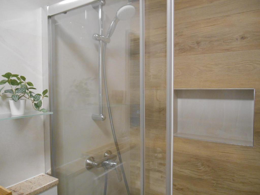 Apartment Marija photo 3