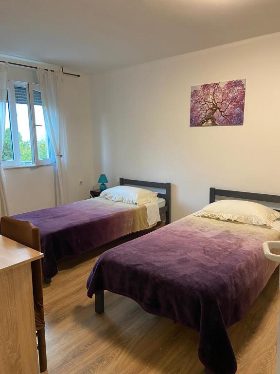 Studio apartman Bel-Ben photo 2