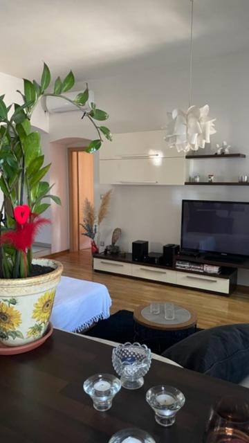 Apartment Marina photo 2