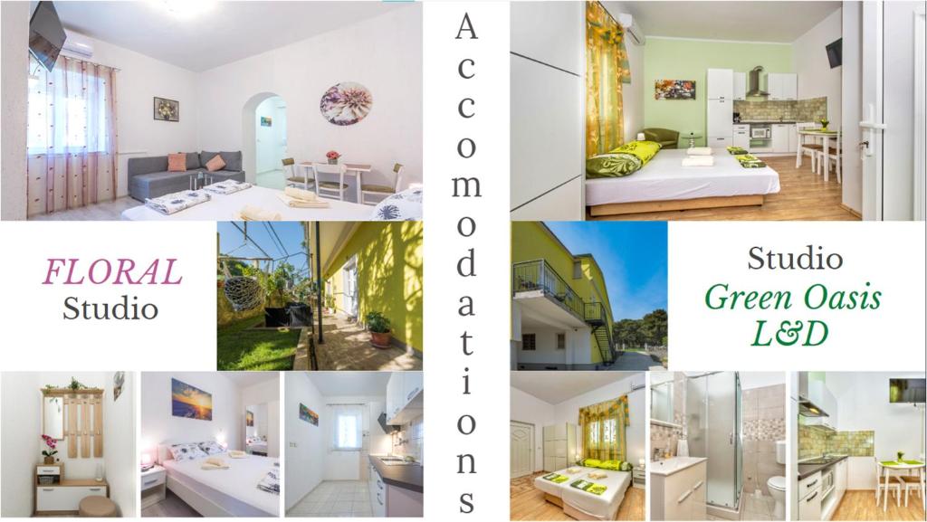 Studio Green Oasis L&D photo 2