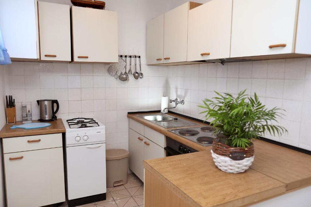 Apartment Meri photo 3