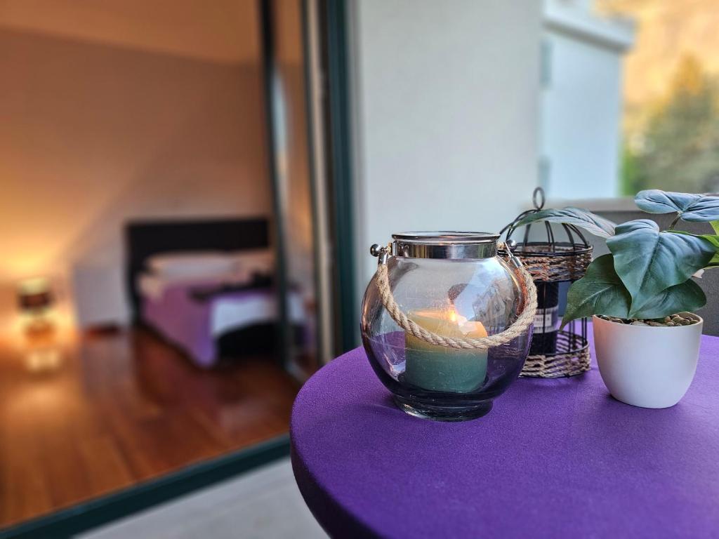 Sweet suite — photo 1