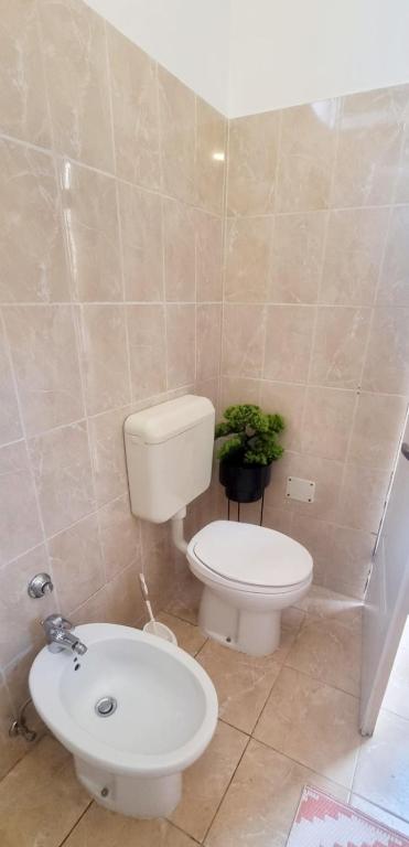 Studio apartman Grotta photo 3
