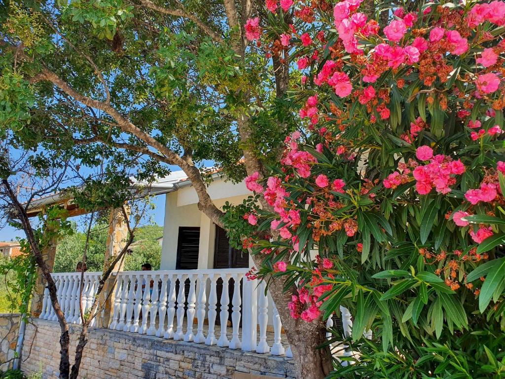 Wonderful vacation home on the lake front — photo 1