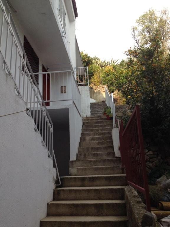 Apartments by the sea Podgora — photo 1