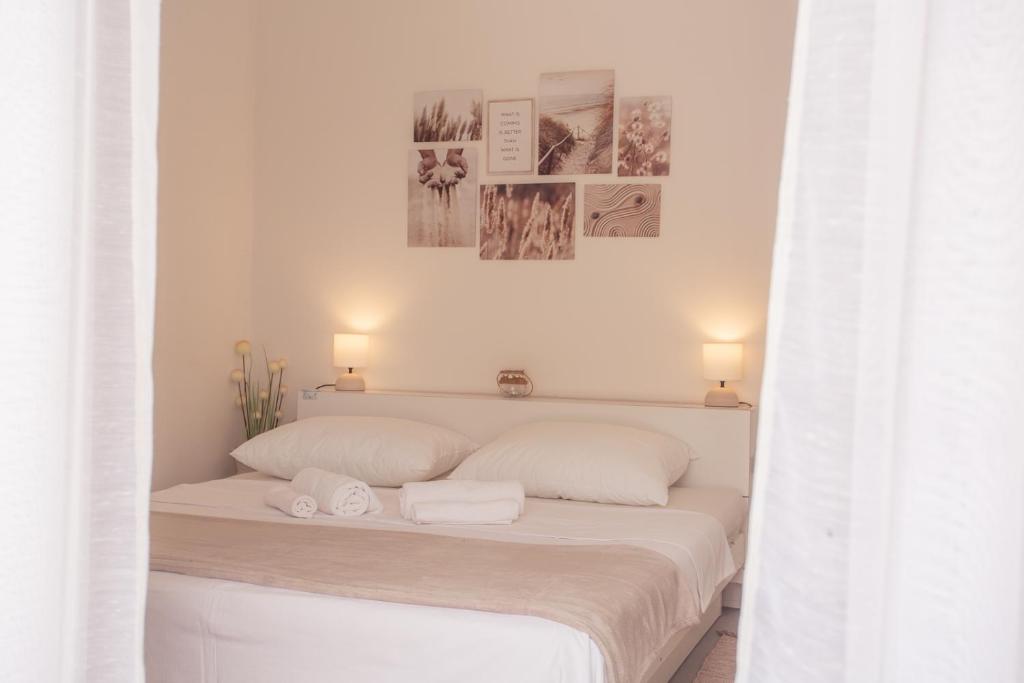 Stellar Suite — photo 1