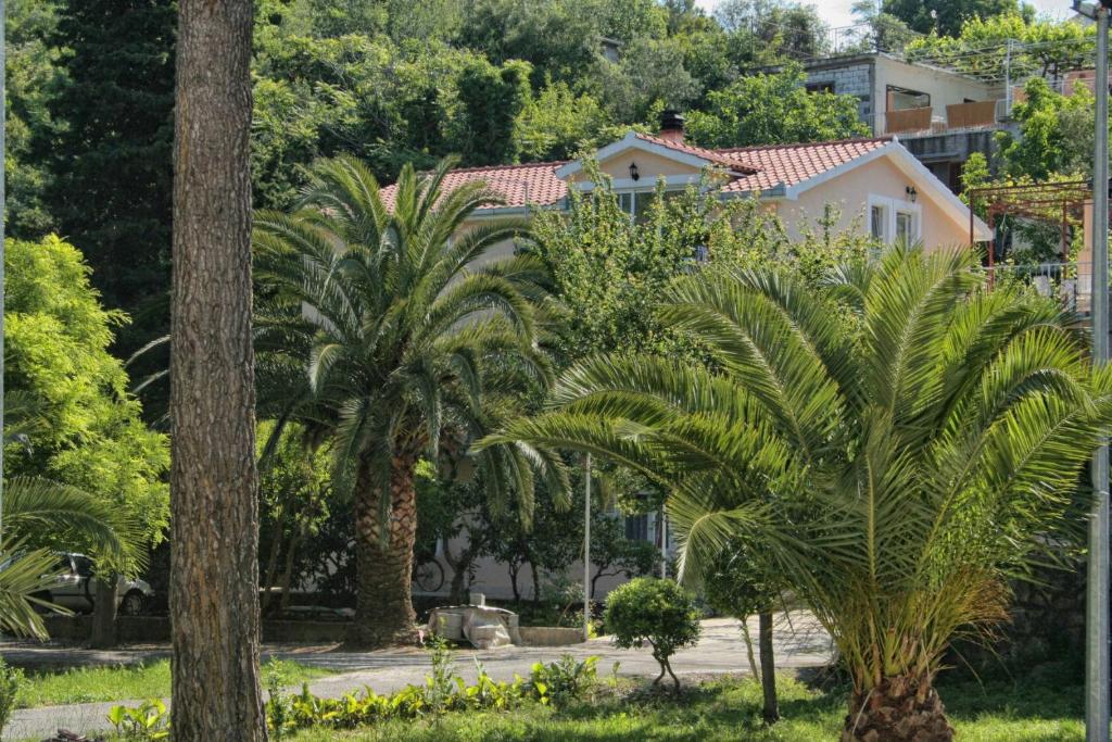 Studio Trpanj 257c — photo 1