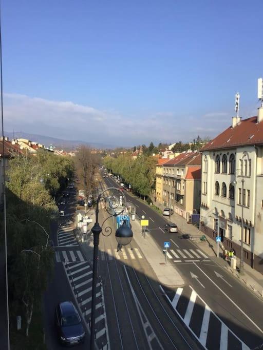 Spacious 3BR/2BT Apartment with A/C in City Center photo 3