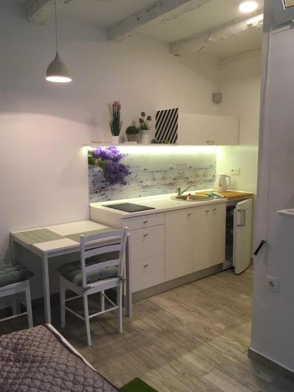 Studio Apartment Sisi photo 2