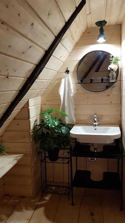 Pet friendly cabin with amazing view photo 3