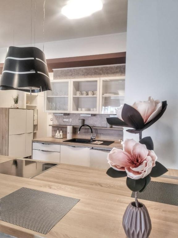 Studio Apartment "Brigita" photo 3
