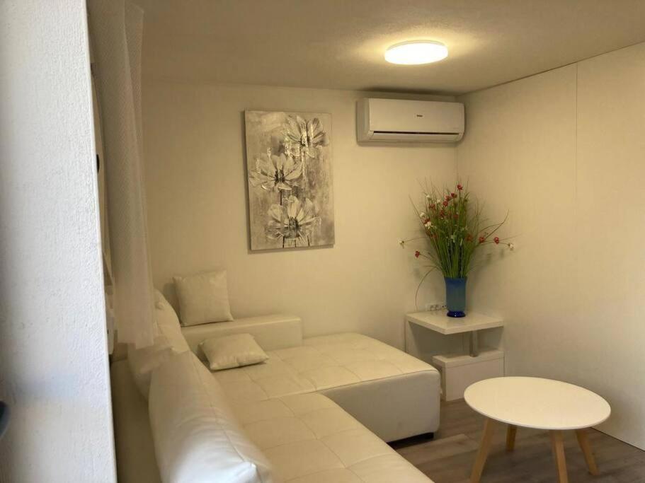 Apartment Mate Wohnung 2 — photo 1