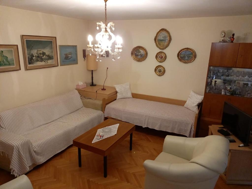 Senia Retro photo 2
