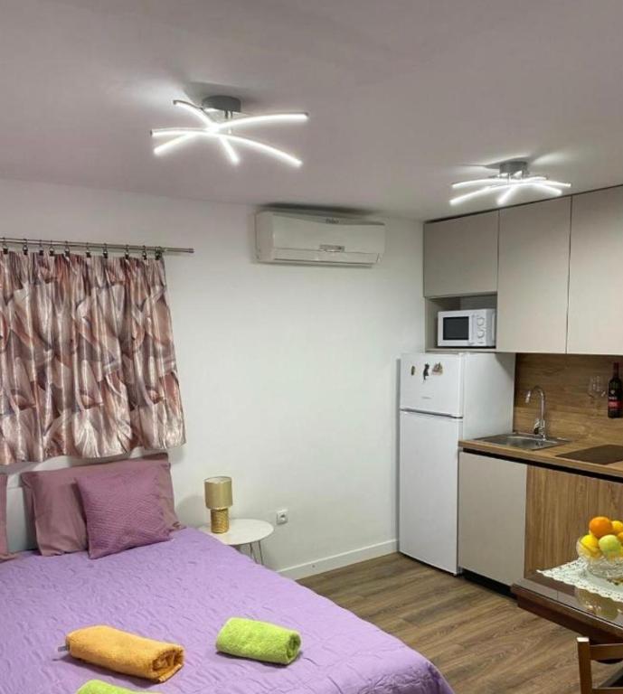 Apartment Mila — photo 1