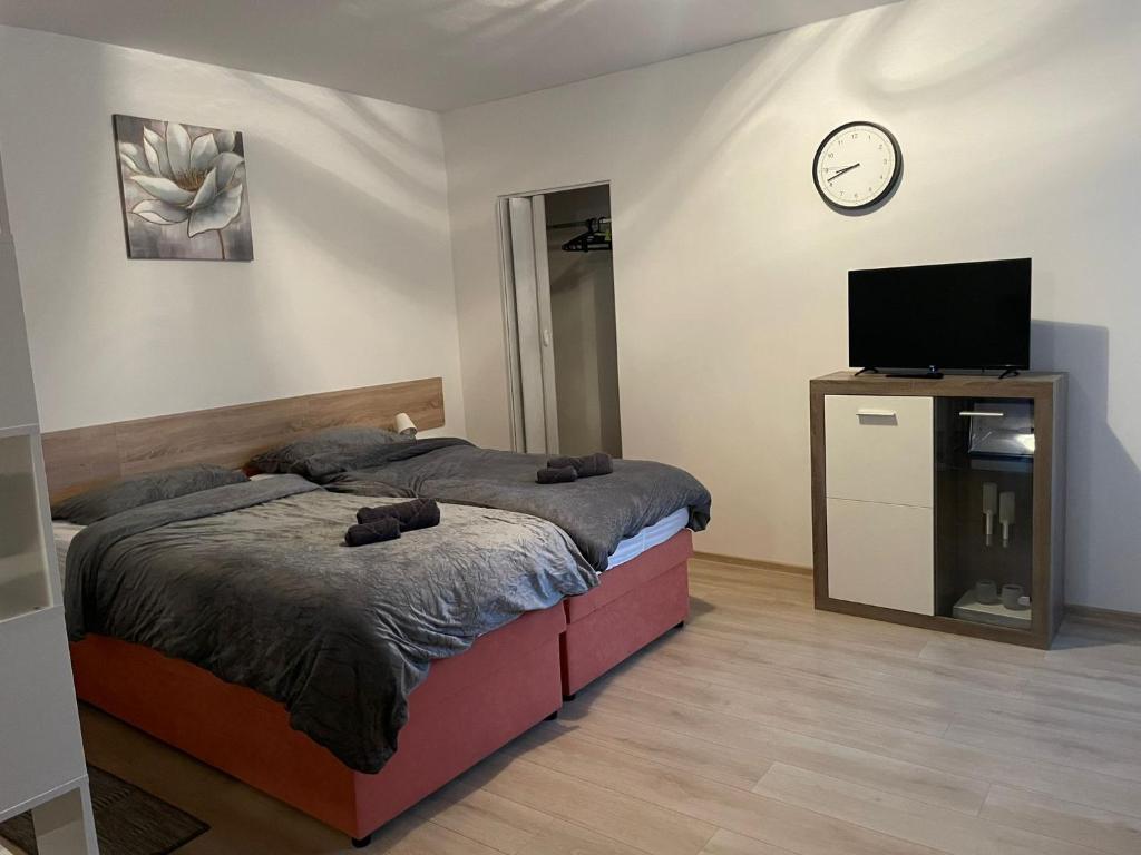 Studio apartman Happiness photo 3
