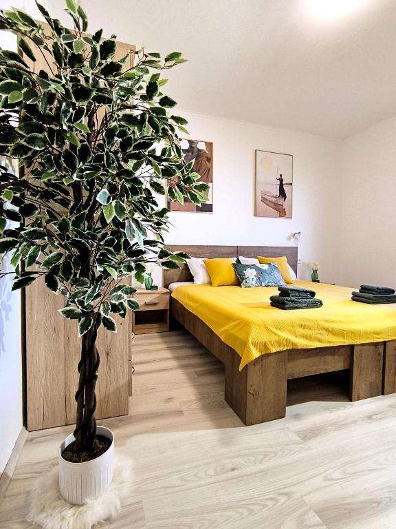 Room 'Šima' with private bathroom and free air-conditioned summer kitchen photo 2
