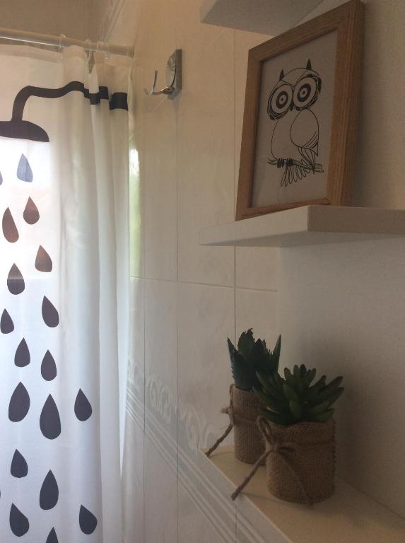 Tiny Studio Big living photo 3