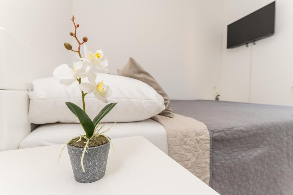 White Jasmine photo 2