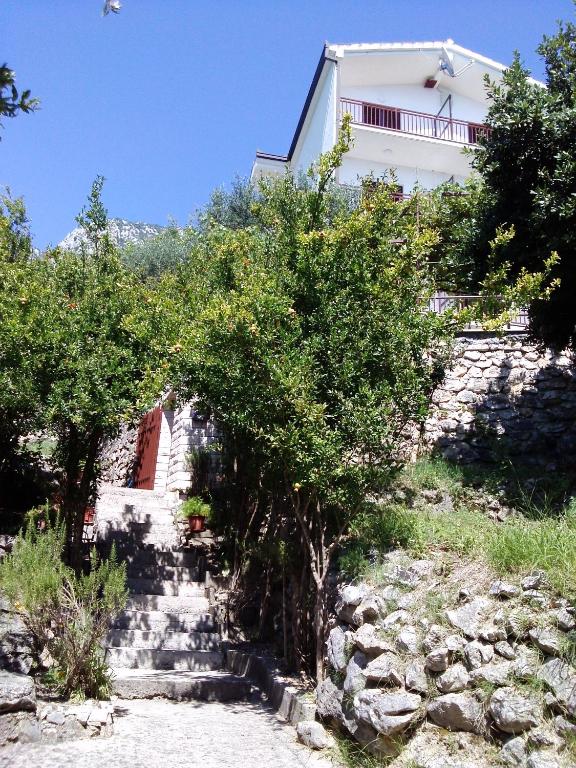 Apartments by the sea Zaostrog — photo 1