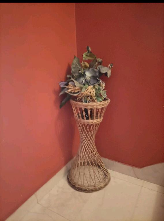 Zdenka Studio Split photo 3