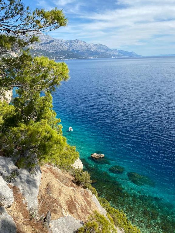 The Heart of Split — photo 1