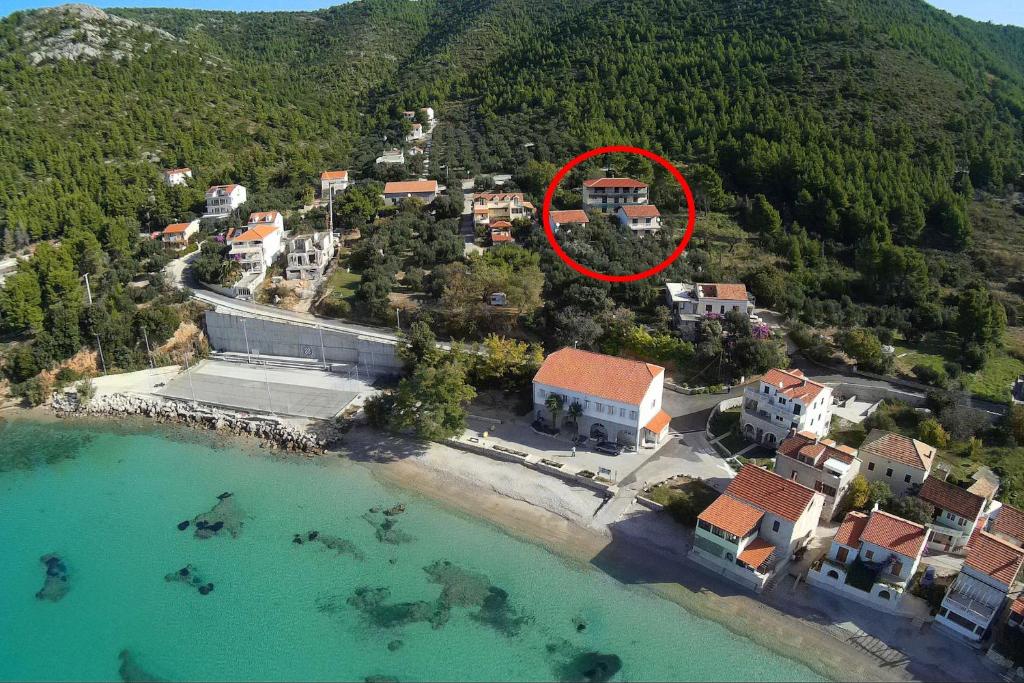 Apartments and rooms by the sea Zuljana — photo 1