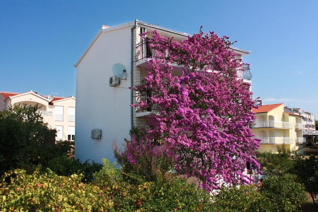 Apartments by the sea Rastici — photo 1