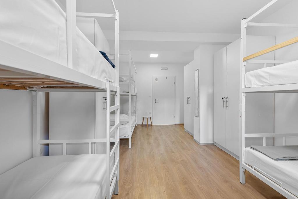 Shared room in Hostel - Bunk bed photo 3