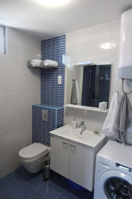 Zebrus apartment photo 3