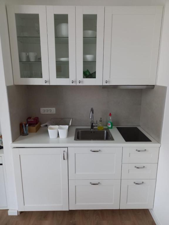 ZAGRABY APARTMENT photo 3