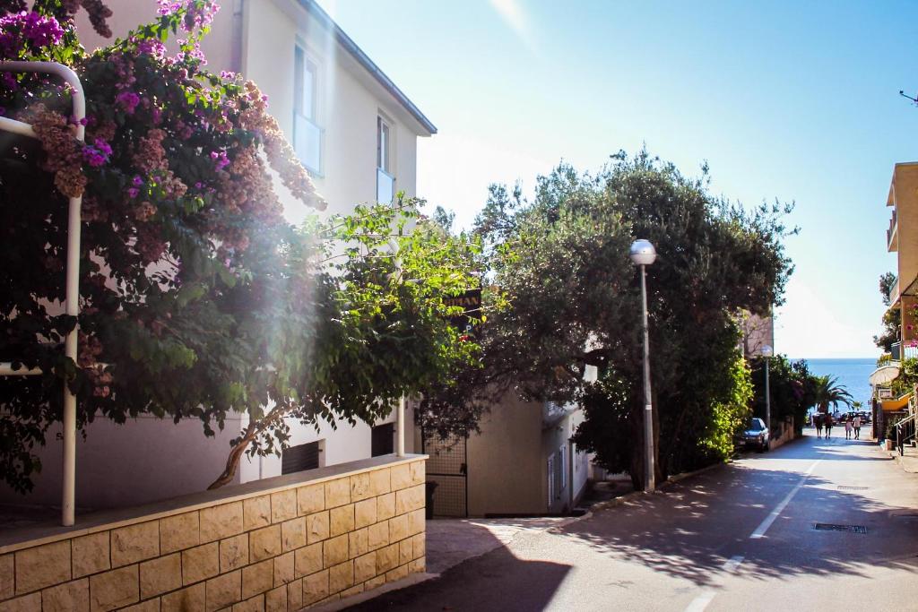 Apartments and rooms by the sea Podgora — photo 1