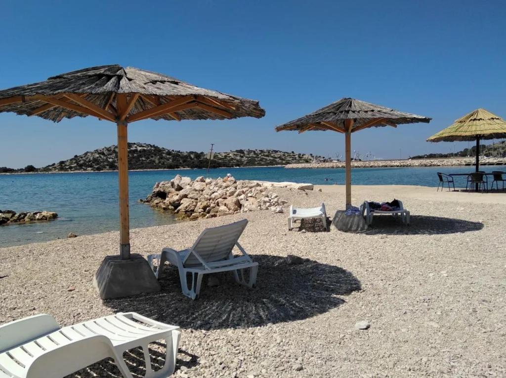 Tribunia Beach Hotel photo 3