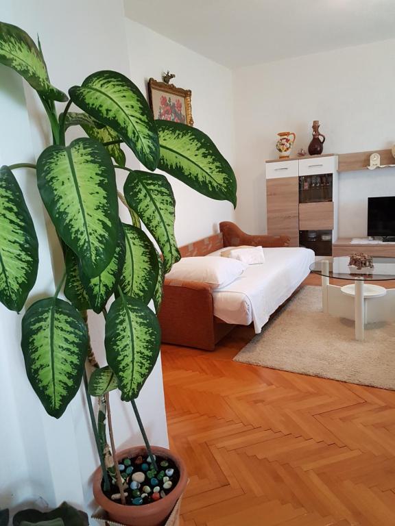 Apartment Marija & Iko photo 2