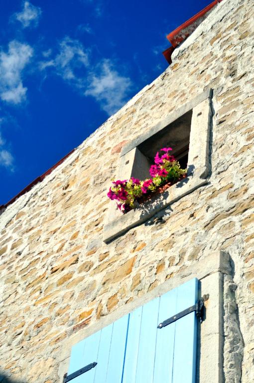 Ruine-Motovun KH — photo 1