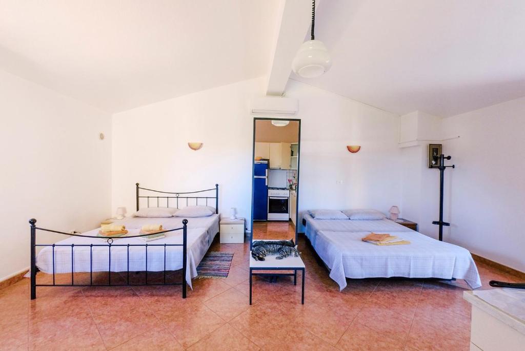 Studio Apartment Gianni photo 2