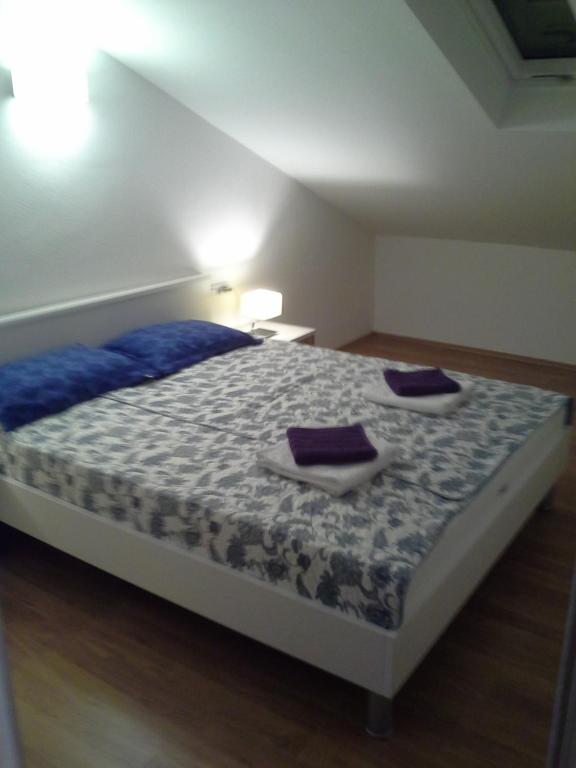Sanja M 2 photo 2