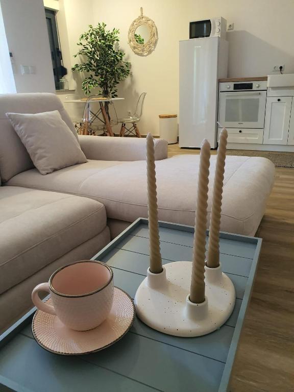 Apartman SIMON-CENTAR — photo 1