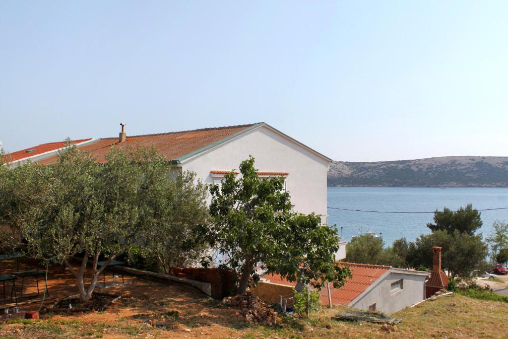 Apartments by the sea Stara Novalja — photo 1
