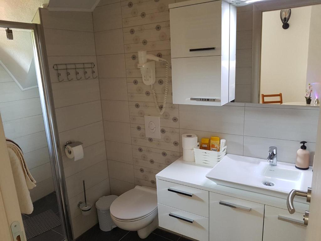 Apartments and rooms with parking space Seliste Dreznicko photo 3