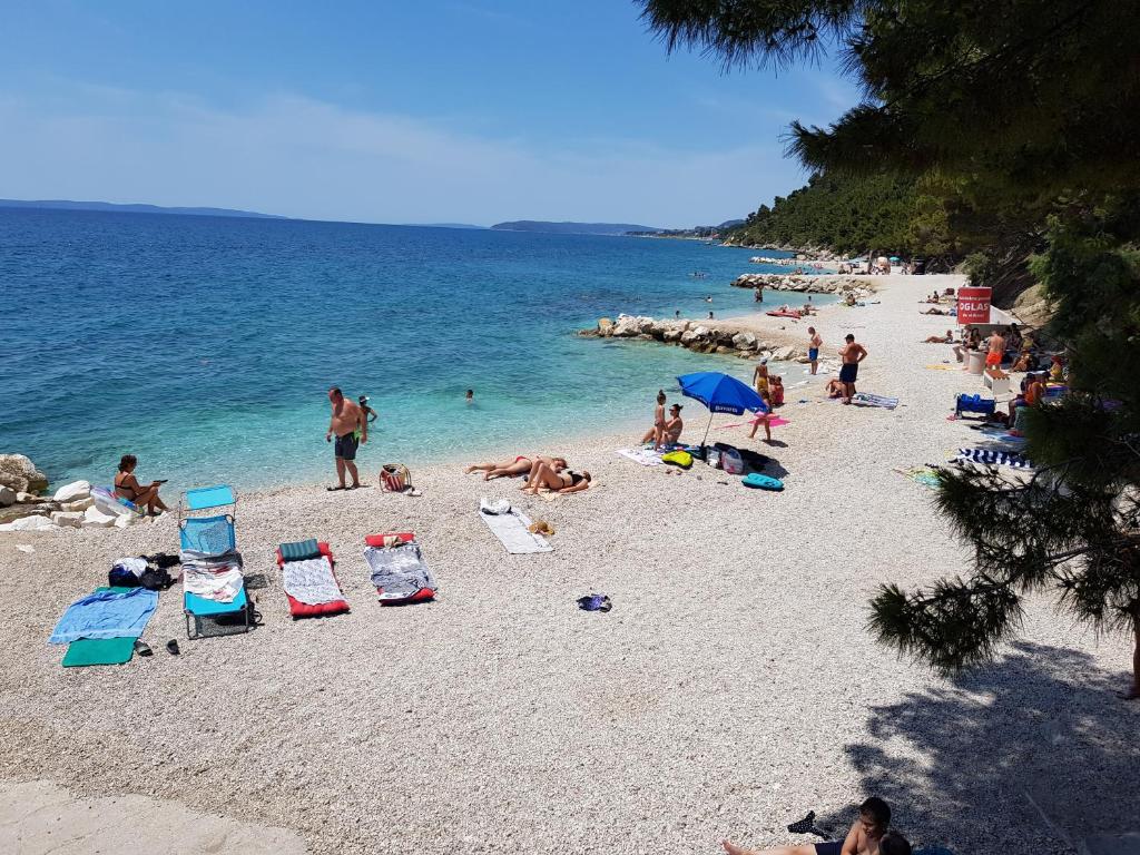 MARIO-50m FROM THE BEACH