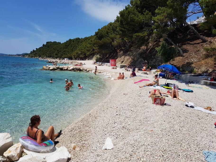 MARIO-50m FROM THE BEACH photo 2