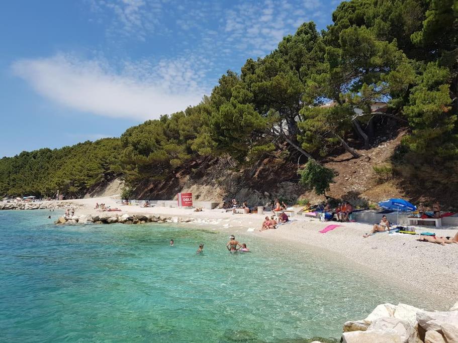 MARIO-50m FROM THE BEACH photo 3